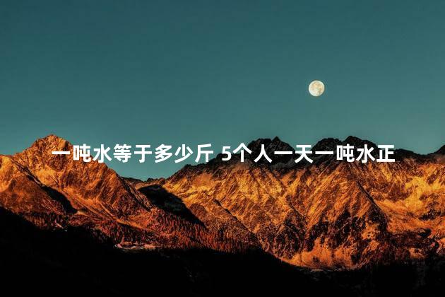 一吨水等于多少斤 5个人一天一吨水正常吗